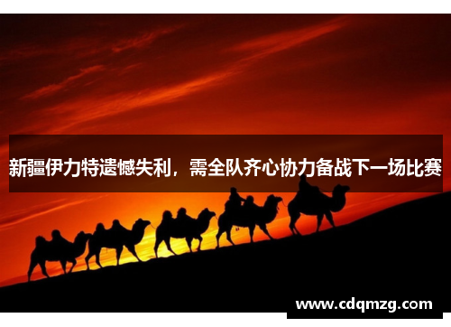 新疆伊力特遗憾失利，需全队齐心协力备战下一场比赛